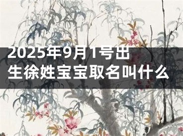 2025年9月1号出生徐姓宝宝取名叫什么