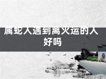 属蛇人遇到离火运的人好吗