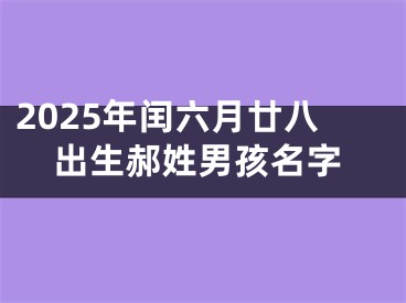 2025年闰六月廿八出生郝姓男孩名字