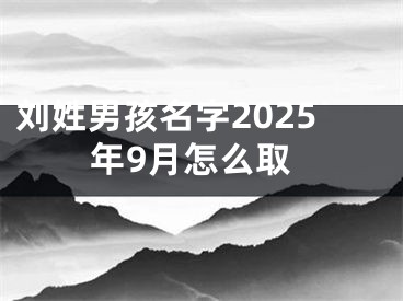 刘姓男孩名字2025年9月怎么取