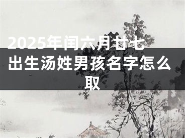 2025年闰六月廿七出生汤姓男孩名字怎么取