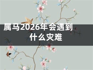 属马2026年会遇到什么灾难