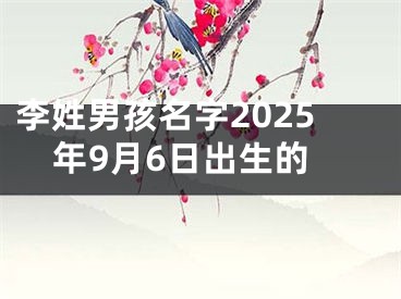 李姓男孩名字2025年9月6日出生的
