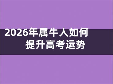 2026年属牛人如何提升高考运势