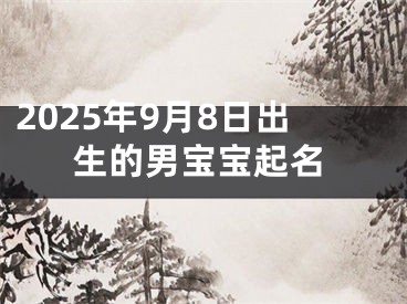 2025年9月8日出生的男宝宝起名