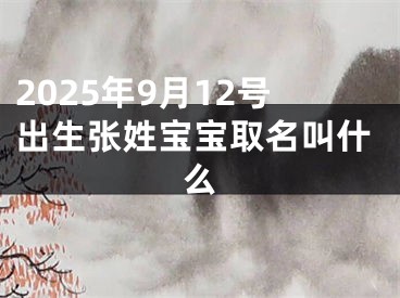 2025年9月12号出生张姓宝宝取名叫什么