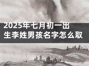 2025年七月初一出生李姓男孩名字怎么取