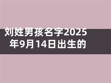 刘姓男孩名字2025年9月14日出生的
