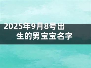 2025年9月8号出生的男宝宝名字