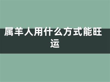 属羊人用什么方式能旺运