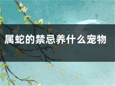 属蛇的禁忌养什么宠物