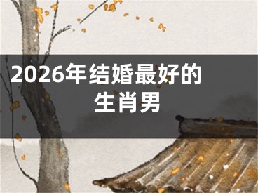 2026年结婚最好的生肖男