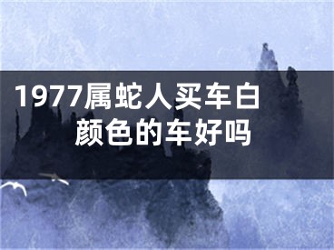 1977属蛇人买车白颜色的车好吗