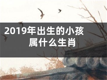 2019年出生的小孩属什么生肖