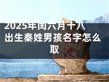 2025年闰六月十八出生秦姓男孩名字怎么取