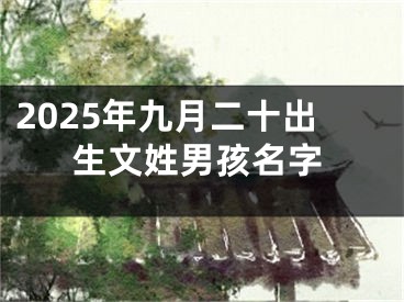2025年九月二十出生文姓男孩名字