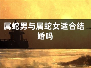 属蛇男与属蛇女适合结婚吗