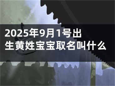 2025年9月1号出生黄姓宝宝取名叫什么