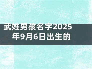 武姓男孩名字2025年9月6日出生的