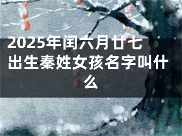 2025年闰六月廿七出生秦姓女孩名字叫什么