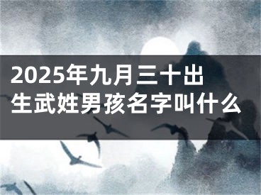 2025年九月三十出生武姓男孩名字叫什么