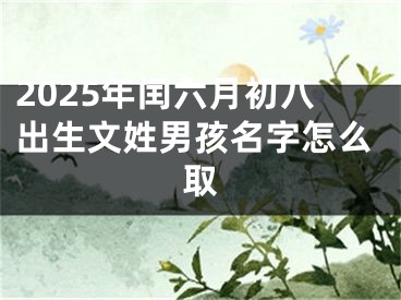 2025年闰六月初八出生文姓男孩名字怎么取
