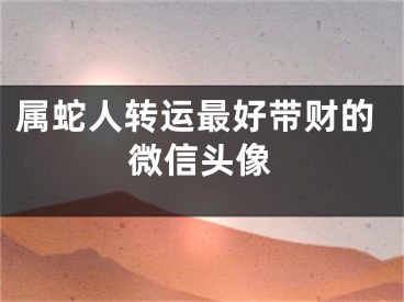 属蛇人转运最好带财的微信头像