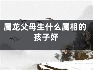 属龙父母生什么属相的孩子好
