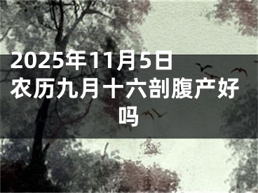 2025年11月5日农历九月十六剖腹产好吗