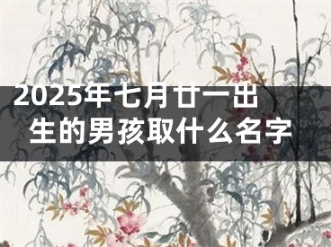2025年七月廿一出生的男孩取什么名字