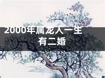 2000年属龙人一生有二婚