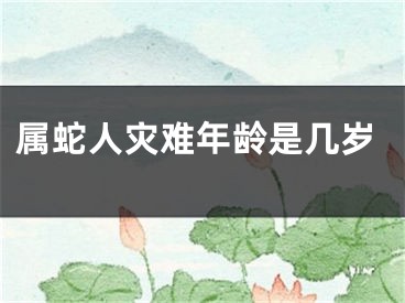 属蛇人灾难年龄是几岁