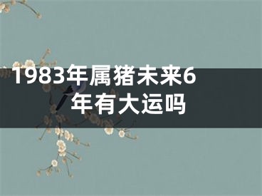 1983年属猪未来6年有大运吗