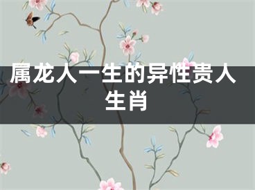 属龙人一生的异性贵人生肖