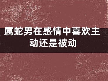 属蛇男在感情中喜欢主动还是被动