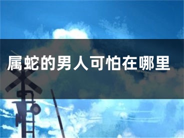 属蛇的男人可怕在哪里