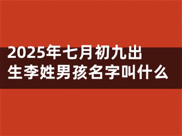 2025年七月初九出生李姓男孩名字叫什么