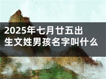 2025年七月廿五出生文姓男孩名字叫什么