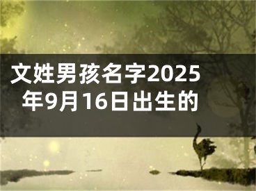 文姓男孩名字2025年9月16日出生的