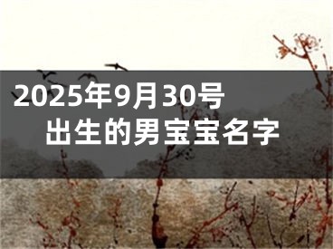 2025年9月30号出生的男宝宝名字