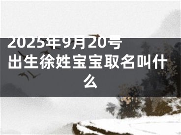 2025年9月20号出生徐姓宝宝取名叫什么
