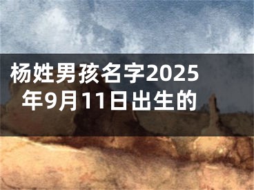 杨姓男孩名字2025年9月11日出生的