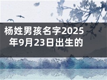 杨姓男孩名字2025年9月23日出生的