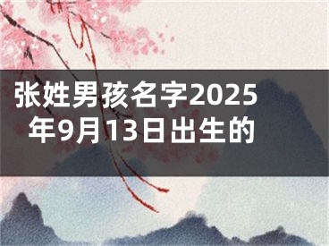 张姓男孩名字2025年9月13日出生的