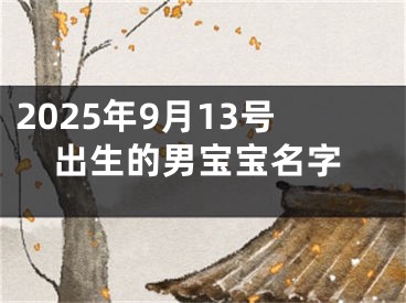 2025年9月13号出生的男宝宝名字