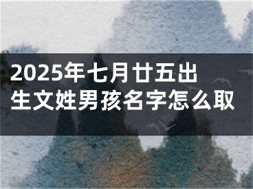 2025年七月廿五出生文姓男孩名字怎么取