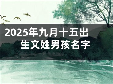 2025年九月十五出生文姓男孩名字