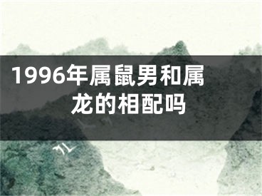 1996年属鼠男和属龙的相配吗