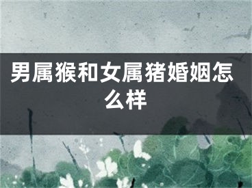 男属猴和女属猪婚姻怎么样