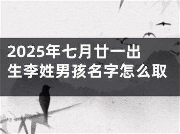 2025年七月廿一出生李姓男孩名字怎么取